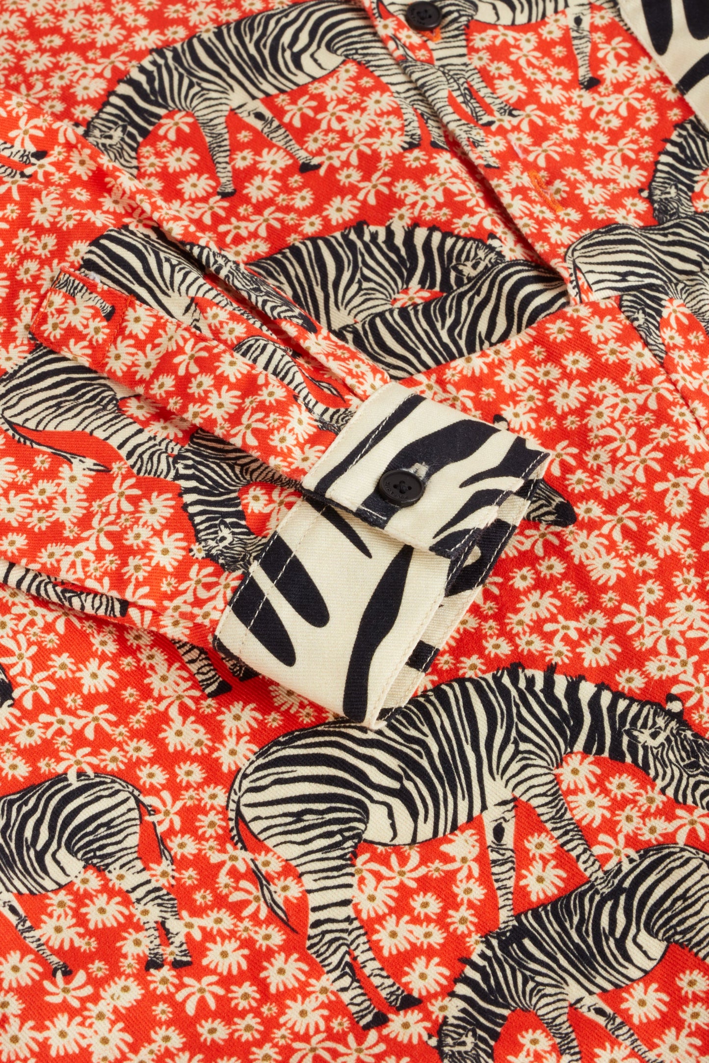 Miguel Zebra Garden
